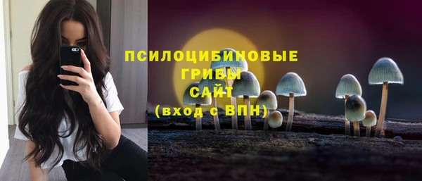ешки Нефтегорск