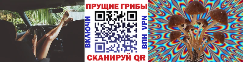Псилоцибиновые грибы Magic Shrooms  Игра 